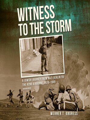 cover image of Witness to the Storm